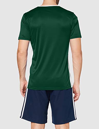 adidas Entrada 18 JSY T-Shirt, Hombre, Collegiate Green/White, M