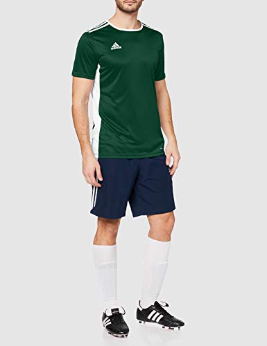 adidas Entrada 18 JSY T-Shirt, Hombre, Collegiate Green/White, M