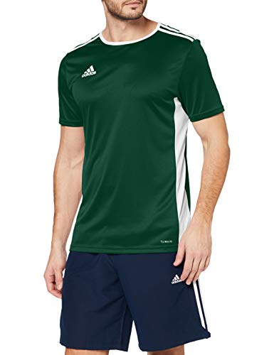 adidas Entrada 18 JSY T-Shirt, Hombre, Collegiate Green/White, M