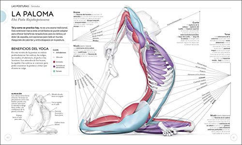 Anatomía del yoga: Un estudio fisiológico postura a postura (Estilo de vida)