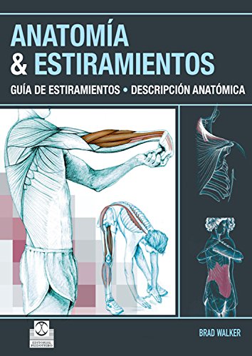 Anatomía & estiramientos: Guía de estiramientos. Descripción anatómica  (Color) (Deportes)