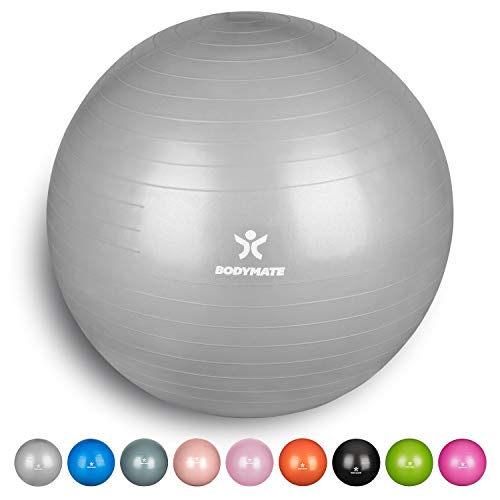 BODYMATE Pelota de Ejercicio para Fitnes | con bombín y Libro electrónico | Sistema Antideslizante