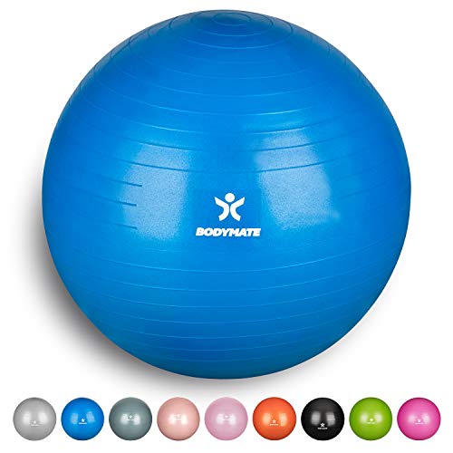 BODYMATE Pelota de Ejercicio para Fitnes | con bombín y Libro electrónico | Sistema Antideslizante