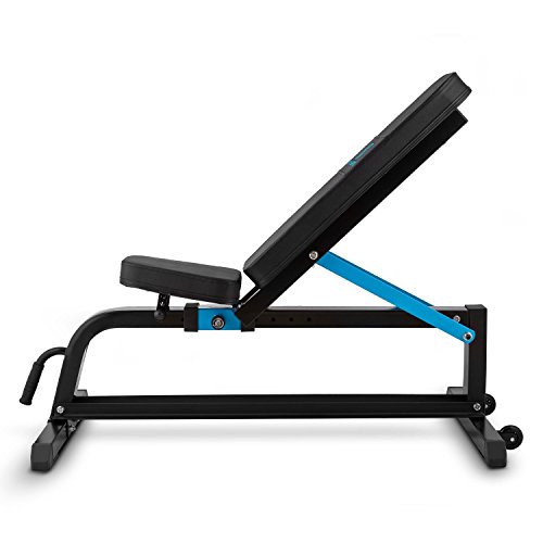 CapitalSports Adjustar Banco de Entrenamiento Adaptable (Peso máximo soportado 300kg, Varios Niveles de Apoyo Ajustables, Asiento Regulable, Cuero sintético alcochado 5cm, Acero Negro)