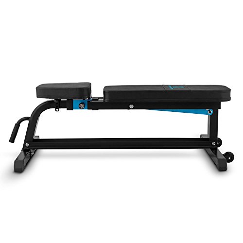 CapitalSports Adjustar Banco de Entrenamiento Adaptable (Peso máximo soportado 300kg, Varios Niveles de Apoyo Ajustables, Asiento Regulable, Cuero sintético alcochado 5cm, Acero Negro)