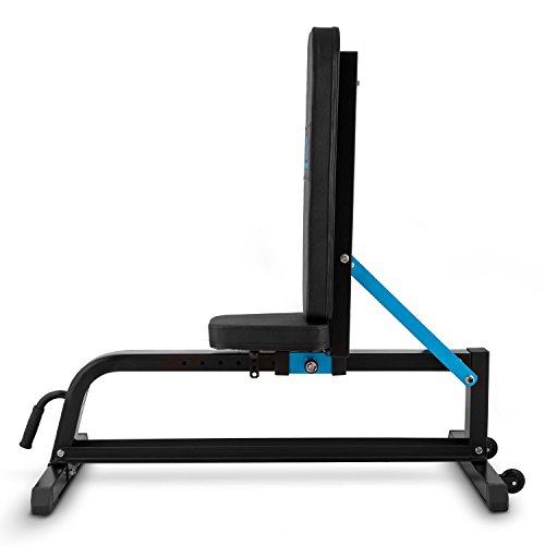 CapitalSports Adjustar Banco de Entrenamiento Adaptable (Peso máximo soportado 300kg, Varios Niveles de Apoyo Ajustables, Asiento Regulable, Cuero sintético alcochado 5cm, Acero Negro)