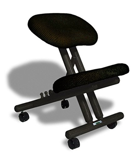 cinius Silla ergonómica Profesional Color Negro sin Respaldo