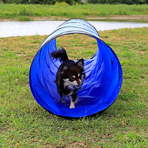 Dibea Túnel para Perros, túnel para Gatos, túnel de Juegos, túnel de Agilidad para Mascotas en Varios tamaños, Color Azul ((S) 200 x 40 cm)