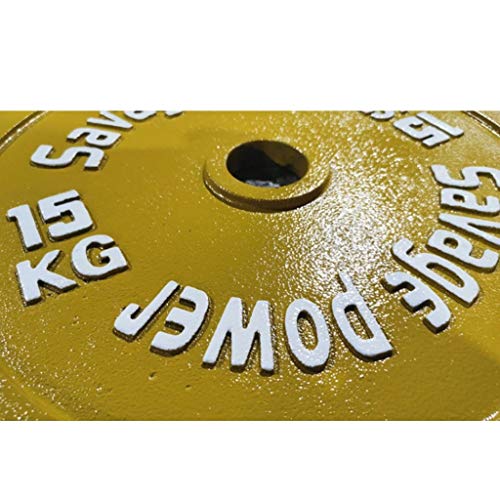 Discos de Pesas Discos Olímpicos Un par de placas con barra moldeada placas Olímpico Hierro fraccional peso de mancuerna o pesa, Pesas Pesas de disco for Home Fitness Gym pesas Discos de Pesas para Mu