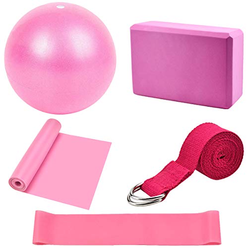 Dokpav Kit de Accesorios para Pilates Set de 5 Bandas Elásticas Fitness,Goma elasticas Musculacion,Bloque de Yoga,Pequeña Pelota de Pilates,Bandas de Resistencia para Yoga,Pilates,Fitness (Rosa)