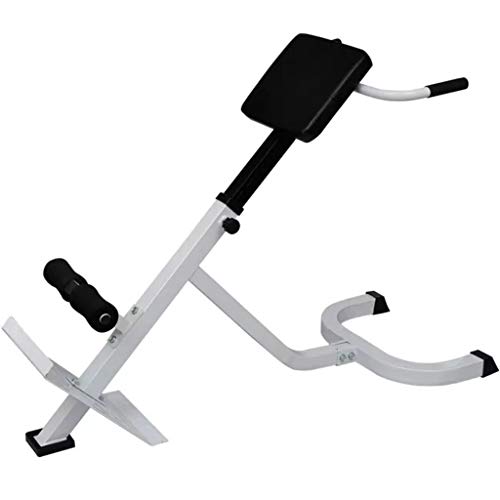 Festnight Banco de Ejercicios de Lumbares Entrenamiento de Espalda Abdominal 120 cm x 55 cm x (80-90) cm Blanco y Negro