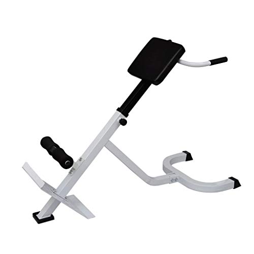 Festnight Banco de Ejercicios de Lumbares Entrenamiento de Espalda Abdominal 120 cm x 55 cm x (80-90) cm Blanco y Negro