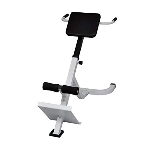 Festnight Banco de Ejercicios de Lumbares Entrenamiento de Espalda Abdominal 120 cm x 55 cm x (80-90) cm Blanco y Negro