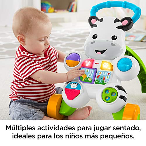 Fisher-Price - Cebra parlanchina primeros pasos - andador bebes - (Mattel DLD87)