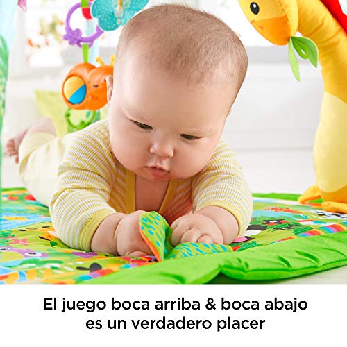 Fisher-Price - Gimnasio deluxe animalitos de la selva - gimnasios bebe - (Mattel DFP08)