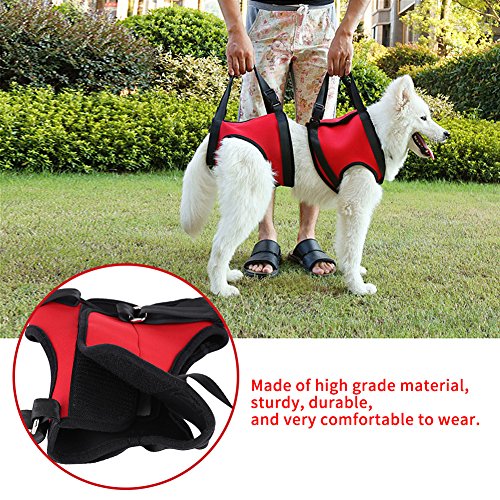 GLOGLOW 2 Tipos de Arnés de Soporte para Perros Delantero y Trasero, Soporte de Ayuda para Caminar Reutilizable Lifting Chaleco de Arrastre para Perros Viejos y heridos(M-Pierna Trasera)