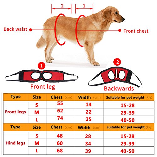 GLOGLOW 2 Tipos de Arnés de Soporte para Perros Delantero y Trasero, Soporte de Ayuda para Caminar Reutilizable Lifting Chaleco de Arrastre para Perros Viejos y heridos(M-Pierna Trasera)