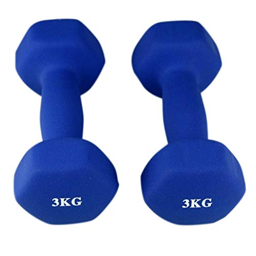 Guoqunshop Mancuernas/Ejercicio Fitness Workout Esmerilado plástico Pesas for Hombres y Mujeres con Mancuernas Campanilla Azul 6 Kg (3 kg * 2) Deportes Fitness Equipment Inicio Fitness con Mancuernas