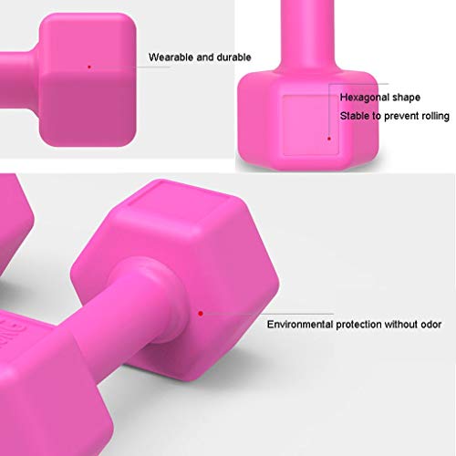 Guoqunshop Mancuernas/Ejercicio Fitness Workout Pesos Pesa de Neopreno Barra señoras de Fitness con Mancuernas, Juego de 2 Fitness con Mancuernas (Color : Purple, tamaño : 1kg×2pieces)