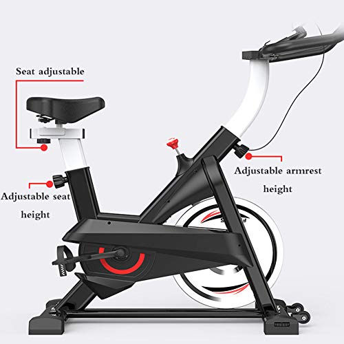 HLEZ Bicicleta Estática, Professional Bicicleta Estática Aparato Doméstico Bicicleta Fitness con Consola Ideal para Quemar Grasa Peso Usuario soportado 100kg