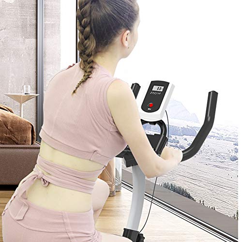 HLEZ Bicicleta Estática, Professional Bicicleta Estática Aparato Doméstico Bicicleta Fitness con Consola Ideal para Quemar Grasa Peso Usuario soportado 100kg