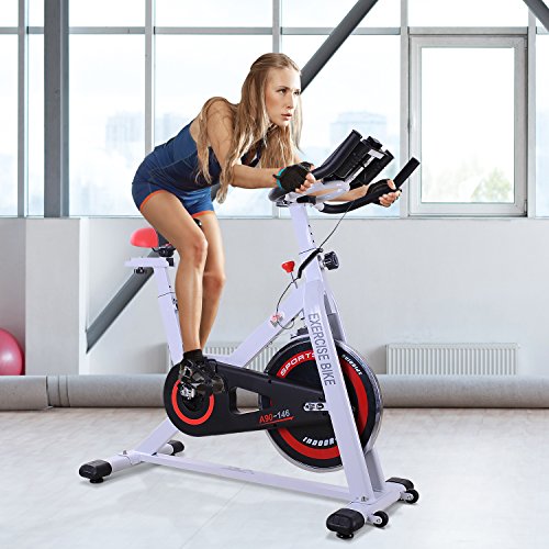 HOMCOM Bicicleta Estática Bicicleta de Fitness Pantalla LCD Asiento y Manillar Ajustable Resistencia Regulable Carga 120kg 107x48x100cm Acero Blanco