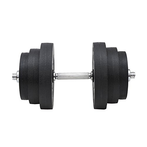 HOMCOM Juego de Mancuernas Pesas de Fitness 40KG Ajustable Profesionales Gimnasio Doméstico y Musculación con Barra Acero y Discos