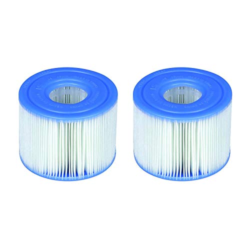 Intex PureSpa B00PUZW3N2 - Paquete de cartuchos para piscina (6 x 29001E, tipo S1, 12 filtros), color azul