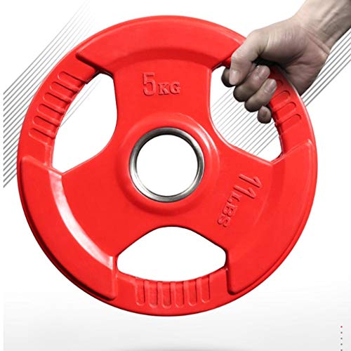 Jiande Las Placas con Barra de 2 Pulgadas Olímpico Grip Placa Micro Peso for Barra Olímpica o la Pesa de Color Barra Inicio Levantamiento de Pesas 1,25 kg * * 2 2-25kg (Size : 20kg*2)