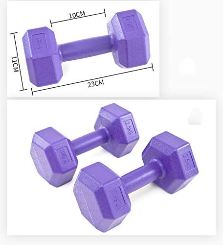 liutao Mancuernas hexagonales 5 kg 10 kg Mancuernas 20 kg Mancuernas Equipo de Gimnasio en casa Solo 2.5 kg (Morado)