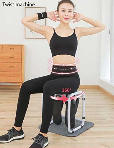 Máquina de Step para Fitness, Mini Stepper Cardio Fitness, Aparatos para Hacer Ejercicio Casa Multifuncional - Entrenando el Abdomen y Las Piernas, Carga máxima -150KG