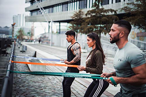 NEOLYMP Banda DE Fitness Premium para lOS Profesionales + GARANTÍA de 5 años + Ancla para Puerta, Banda ELÁSTICA, Banda Entrenamiento para Pilates de 5 (Azul/Verde/Naranja/Rojo/Negro