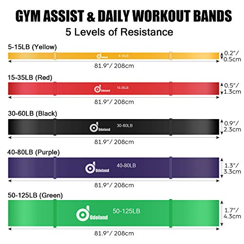 Odoland Bandas de Resistencia Elástica Set con 5 Pull Up Bands, 2 Manija, 1 Anclaje de Puerta, 2 Mosquetón, Bandas Elasticas de Fitness de Caucho Natural para Fortalecer la Fuerza Muscular