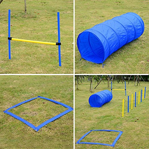 PawHut Set Entrenamiento Agility Agilidad Perros Salto Tunel y Slalom Azul Amarillo NUE