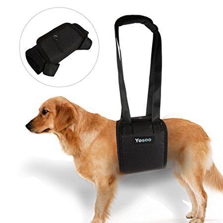 Portable Perro Levantamiento Arnés de Apoyo - Perro Ayuda con Piernas Delanteras o Traseras Débiles Levántate Camina y Mascotas Heridas o Ancianas (Tamaño: XL)