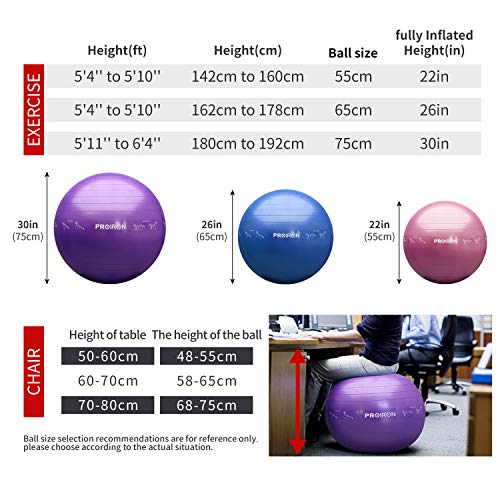 PROIRON Pelota de Pilates 65cm Fitball Pilates Pelota Embarazo (Púrpura)