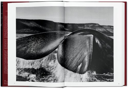 Sebastião Salgado. Génesis: Genesis (PHOTO)