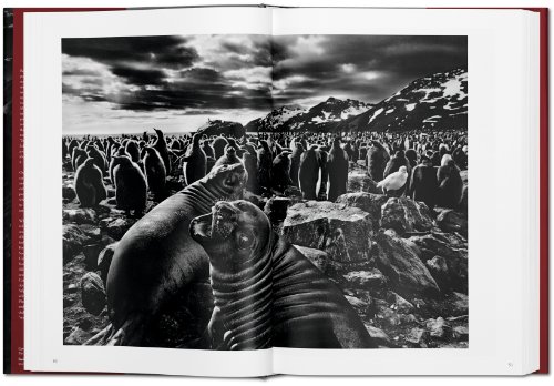 Sebastião Salgado. Génesis: Genesis (PHOTO)