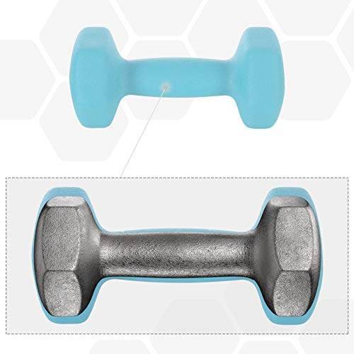 SONGMICS Juego de Mancuernas Hexagonales con Soporte - 2 x 1 kg, 2 x 2 kg, 2 x 3 kg, Neopreno con Acabado Mate, Pesas para Gimnasio en Casa, Rosado, Agua y Azul SYL612MK