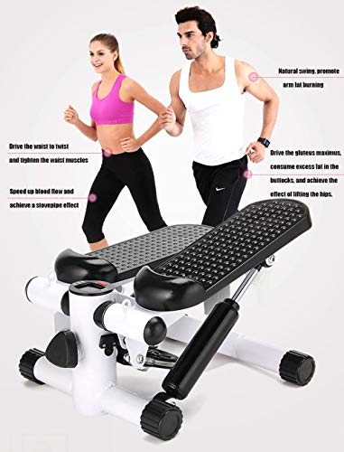 Twister Stepper 2 en 1 Cuerdas de Resistencia - Escaladora y Swing Stepper para usuarios Principiantes y avanzados con Pantalla Multifuncional