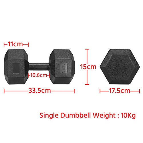 Yaheetech Un Set de 2 Piezas Mancuernas de Ejercicio Mancuerna para Gimnasio Fitness Negra 10 KG