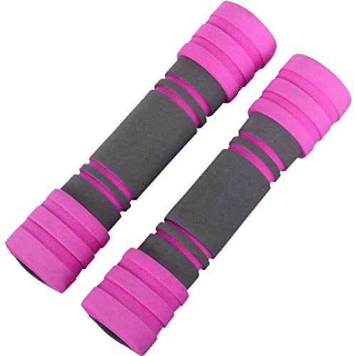 YHRJ Juego de Mancuernas Pesas De Gimnasia para Mujeres, Pesas para El Hogar, Pesas para Principiantes De Fitness, Equipos para Ejercicios De Pérdida De Peso del Brazo (Color : Pink, Size : 2KG)