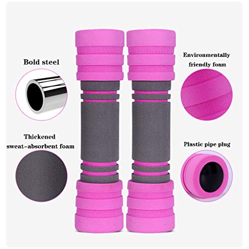 YHRJ Juego de Mancuernas Pesas De Gimnasia para Mujeres, Pesas para El Hogar, Pesas para Principiantes De Fitness, Equipos para Ejercicios De Pérdida De Peso del Brazo (Color : Pink, Size : 2KG)