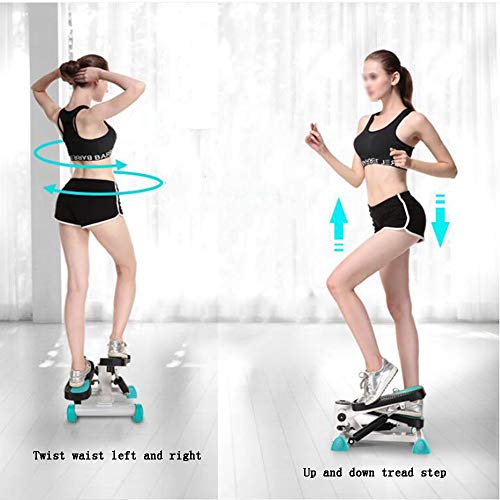 ZXQZ Escaladora Steppers, Balcón pequeño Volumen Doble Barra de Equilibrio hidráulico escaladora elíptica Paso a Paso con Pantalla LCD y cómodo Pedal de la máquina de torsión portátil Twist Stepper