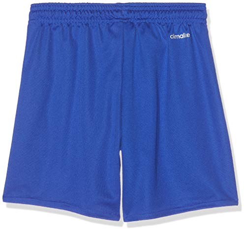 adidas Parma 16 Sho - Pantalón corto para Niños, Azul (Bold Blue/White), 164