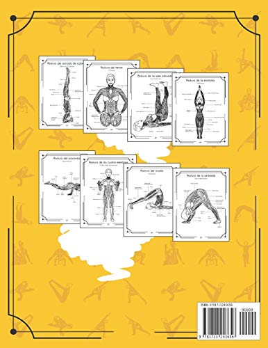 Anatomía Del Yoga Libro Para Colorear: Una Nueva Visión De Las Posturas De Yoga