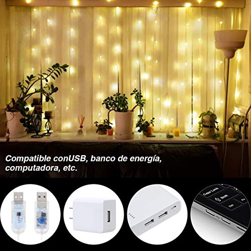 Anpro Luz Cadena Luz de Cortina USB, con 300 Bombillas LED, 8 Modos, Blanca Cálida, 3x3 m