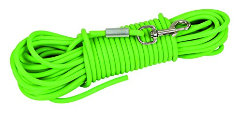 Correa larga de adiestramiento PVC, 15 m, verde