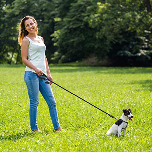 Docatgo Correa de Perro，1,5m Correas de Perros Nylon con MangoAcolchadocómodo，Roscas Altamente Reflectantes para Perros Grandes o Medianos (Negro)