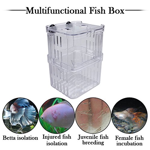 EFORCAR 1pcs multifuncional Fish Box Cría de aislamiento que cuelga del tanque de pescados del acuario incubadora de accesorios